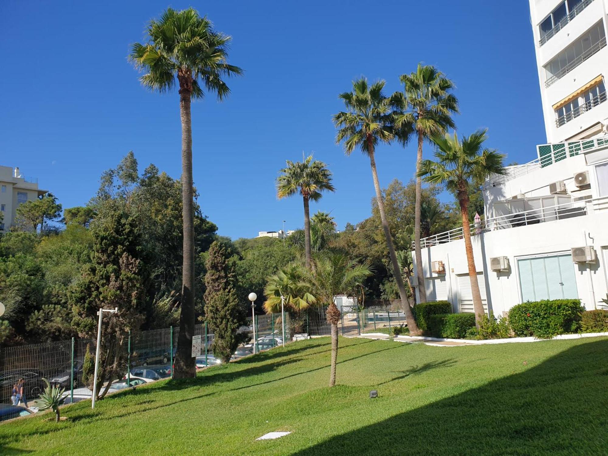 Estudio Con Increibles Vistas. Διαμέρισμα Μαρμπέλλα Εξωτερικό φωτογραφία