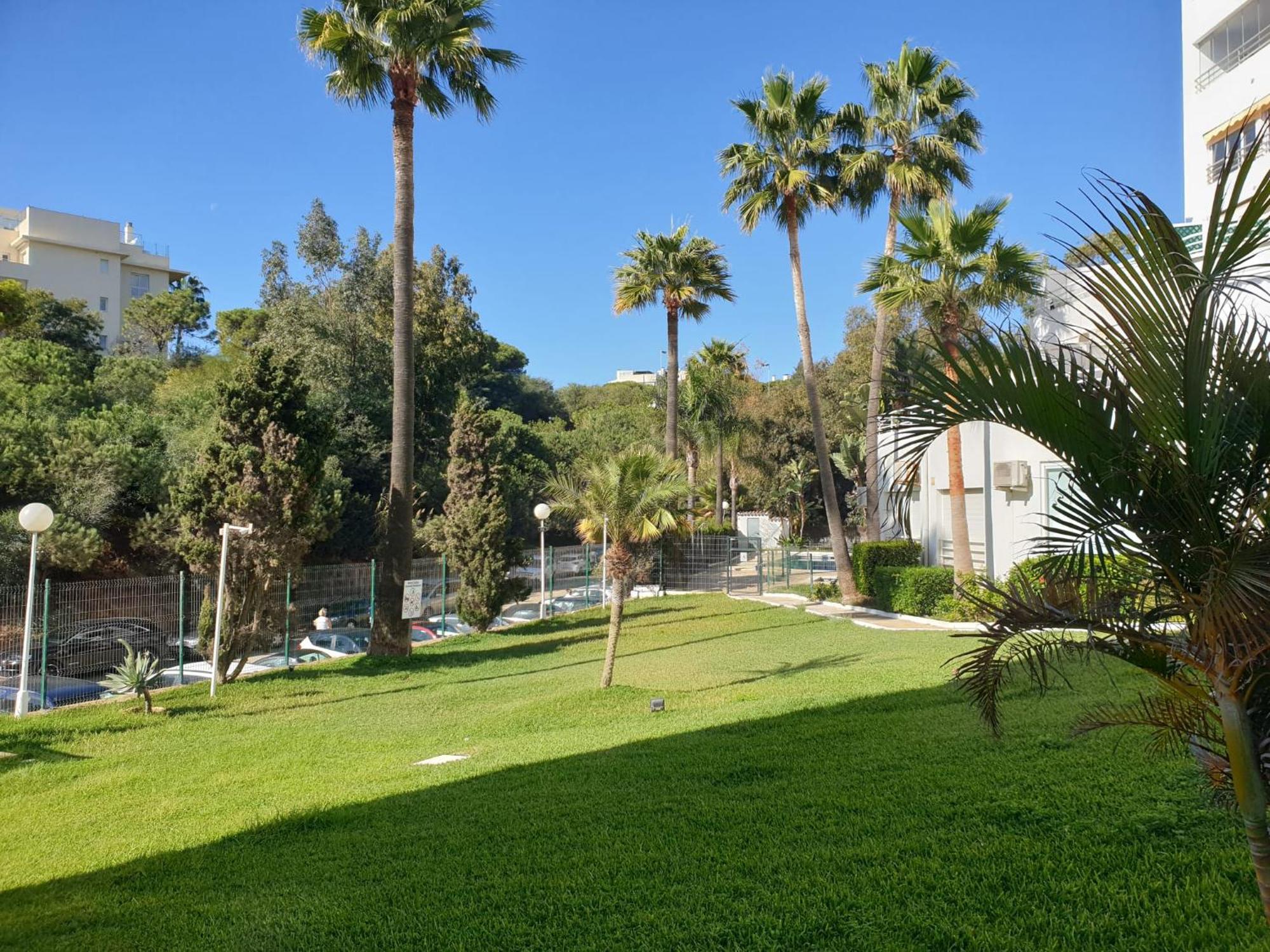 Estudio Con Increibles Vistas. Μαρμπέλλα Εξωτερικό φωτογραφία